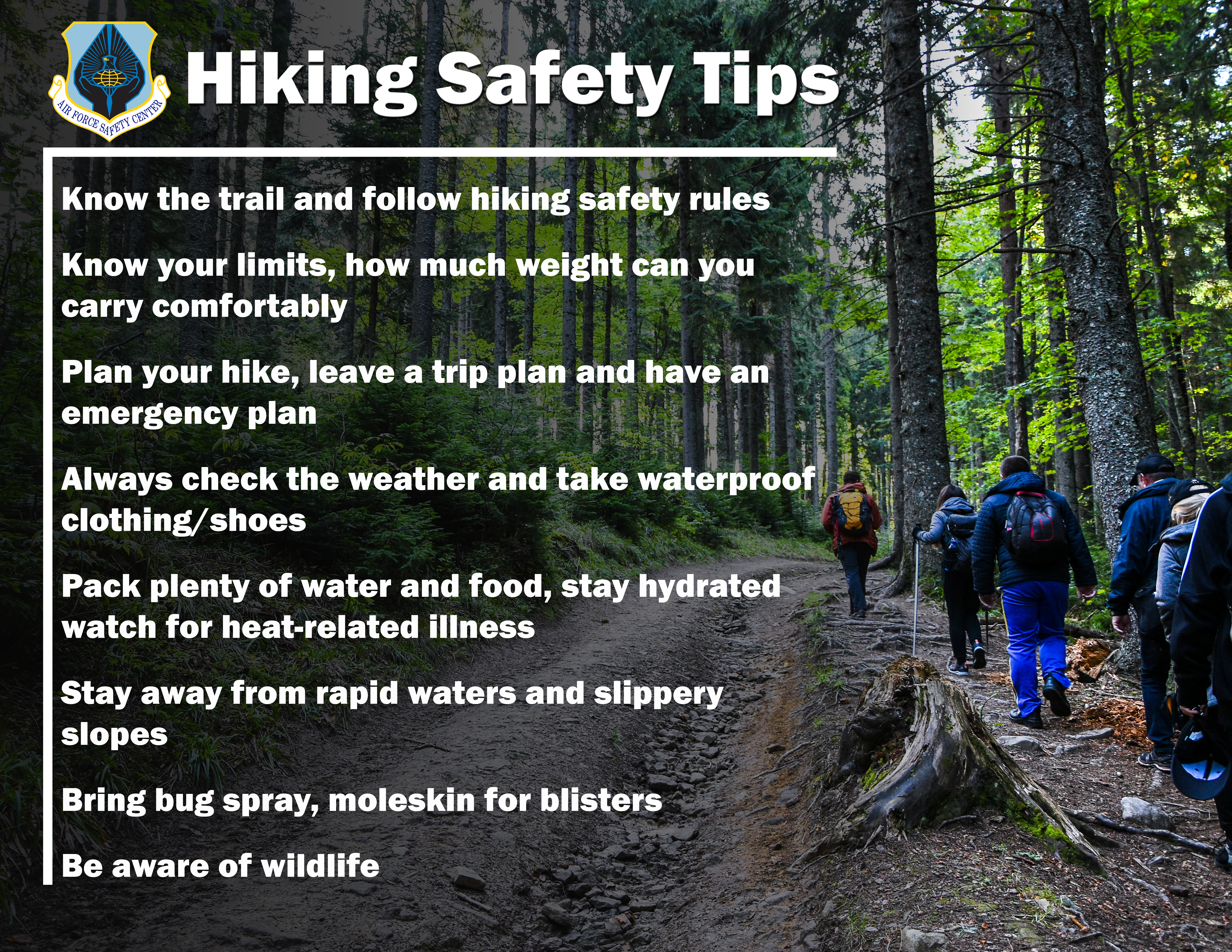 Hiking Safety Tips - group of people hiking up a mountain trail
